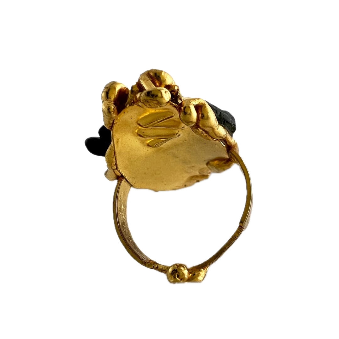 Família Ring