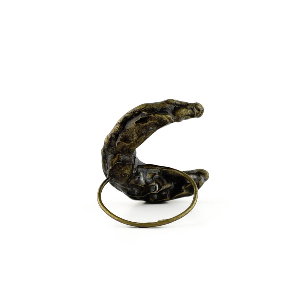 Completude Ring