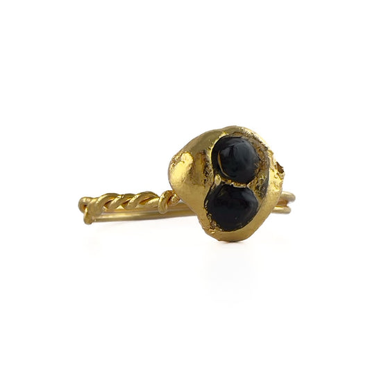 Fases Ring