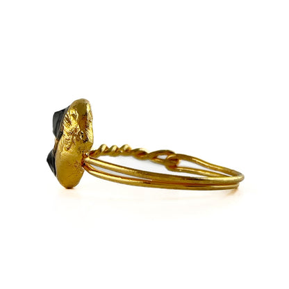 Fases Ring