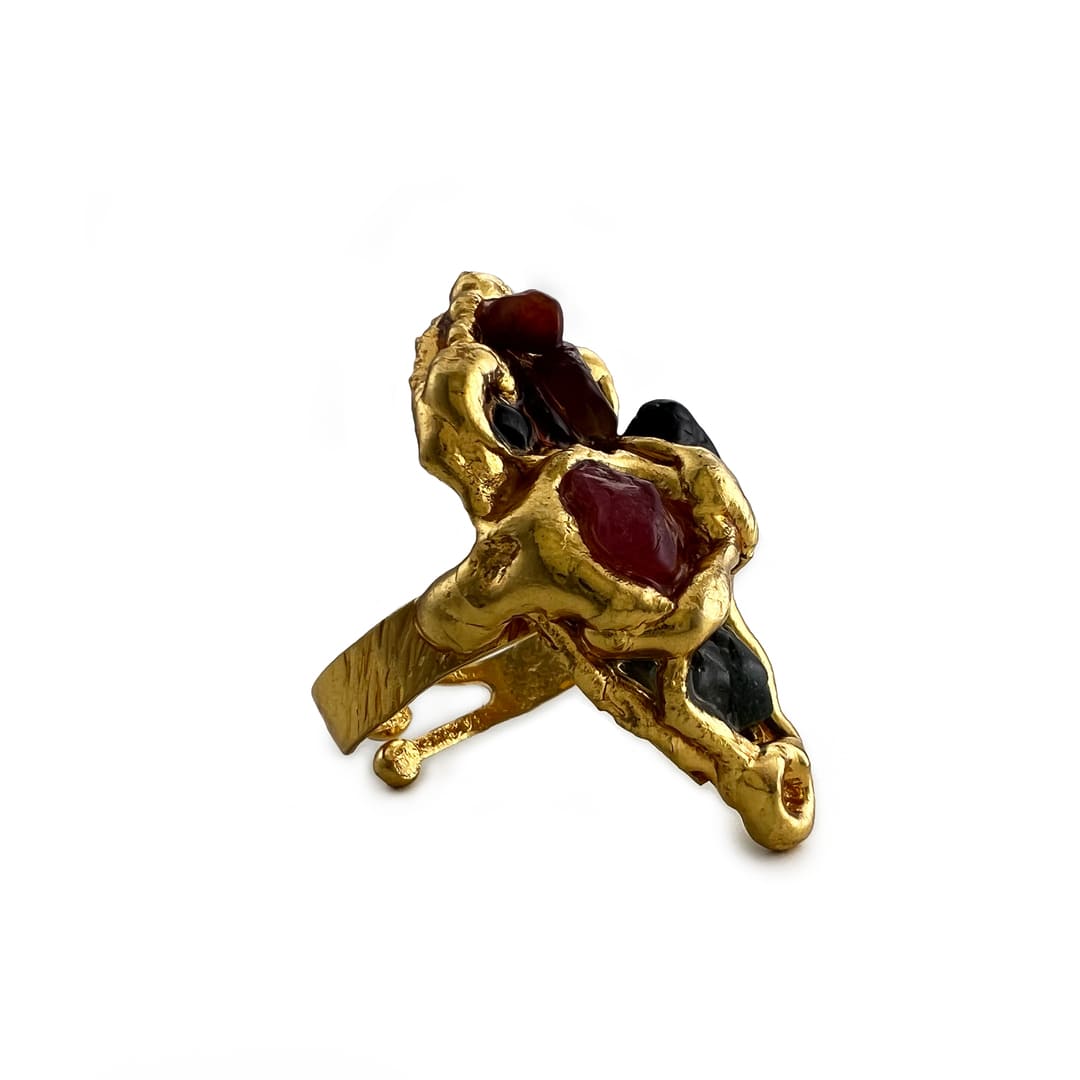 Família Ring
