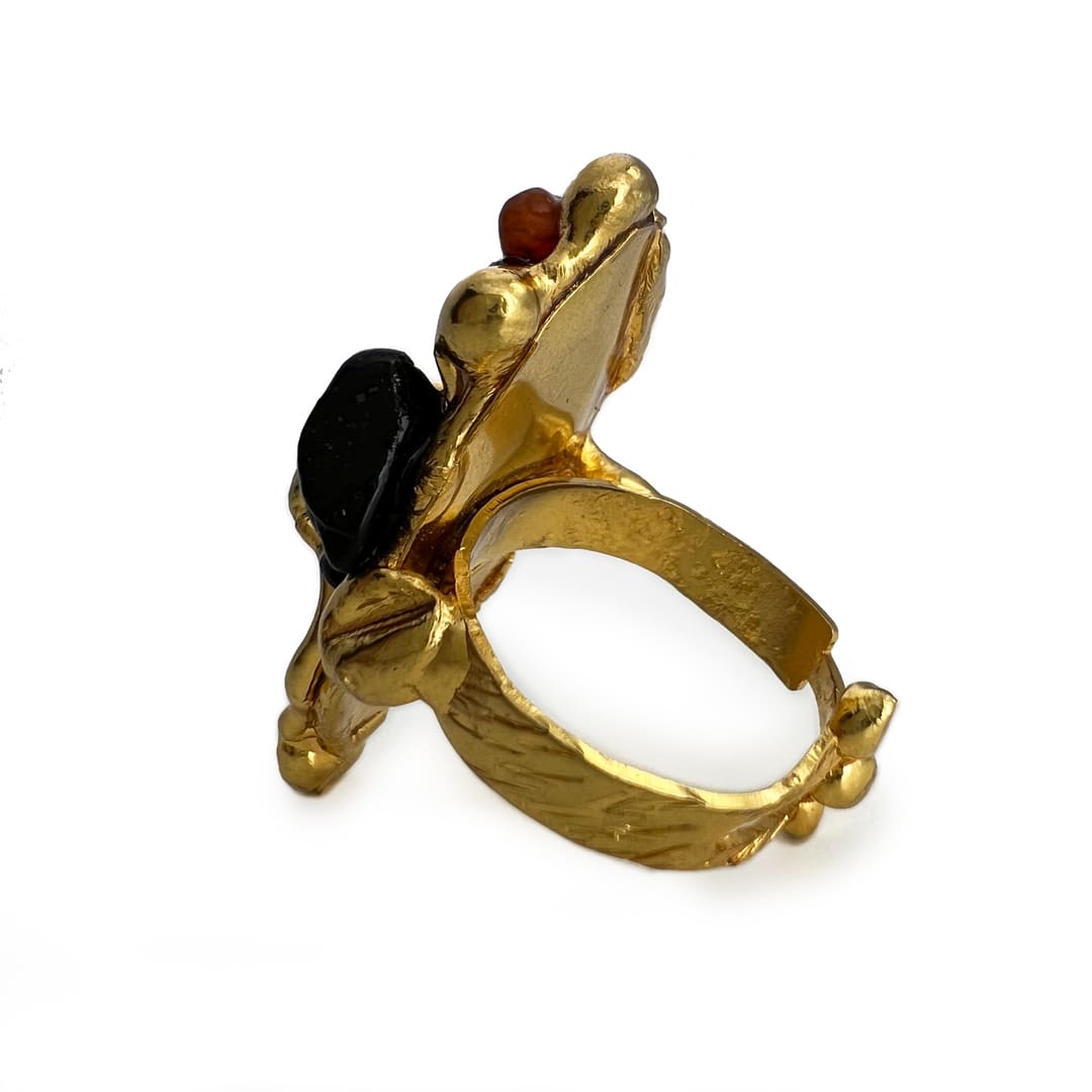 Família Ring