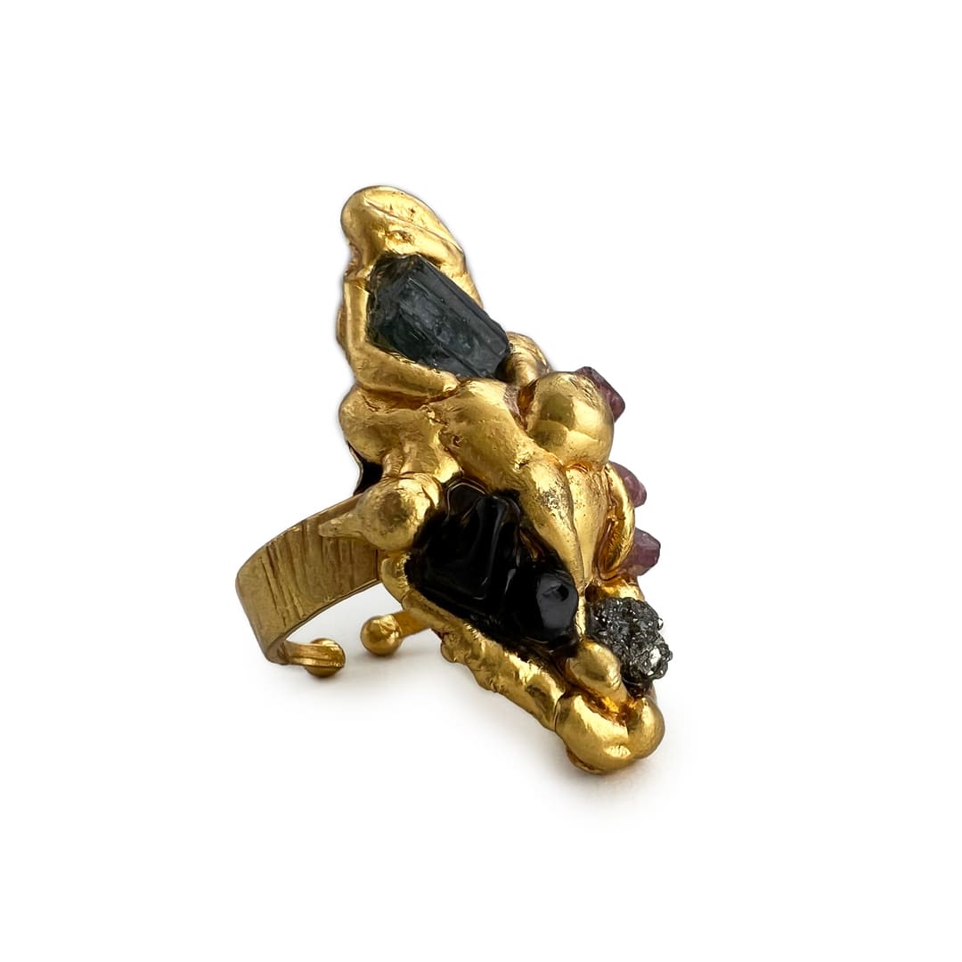 Família Ring