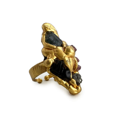 Família Ring