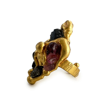 Família Ring