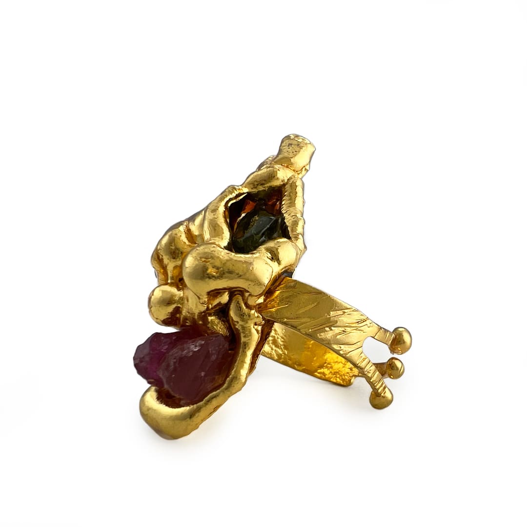 Família Ring