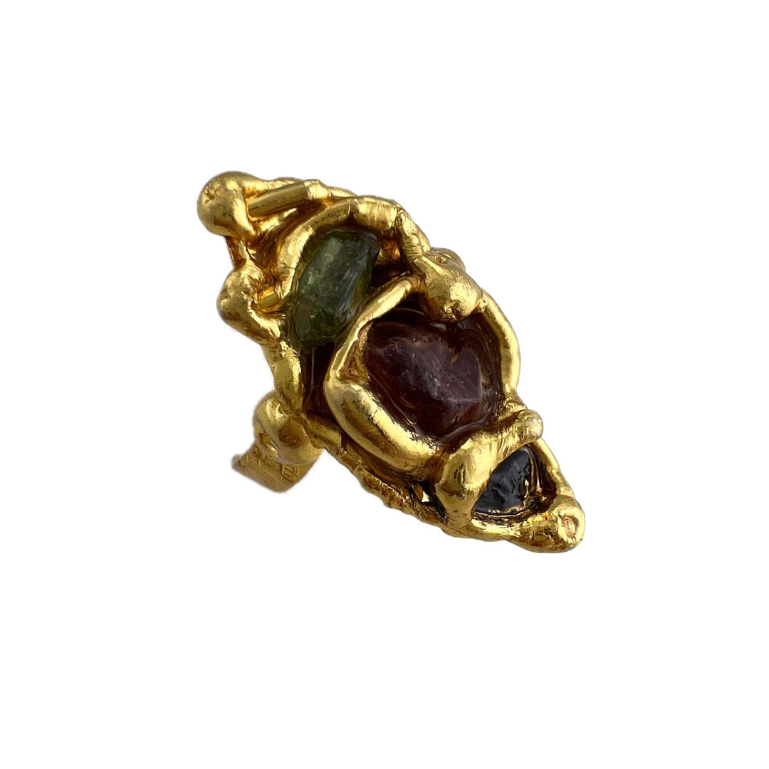 Família Ring