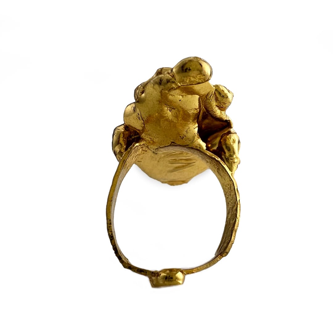 Família Ring