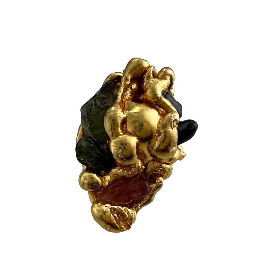 Família Ring